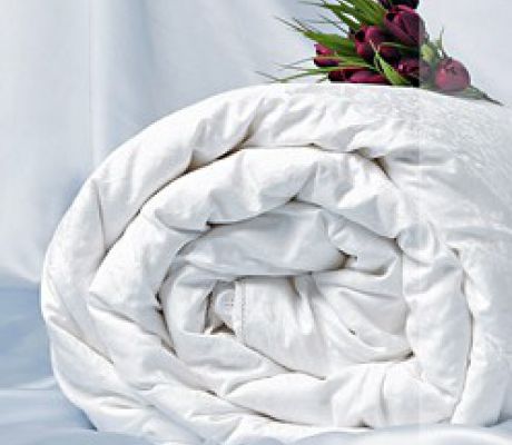 Одеяла | Шелковые одеяла "Kristel" Одеяло шелковое летнее OnSilk OnSilk (Онсилк)