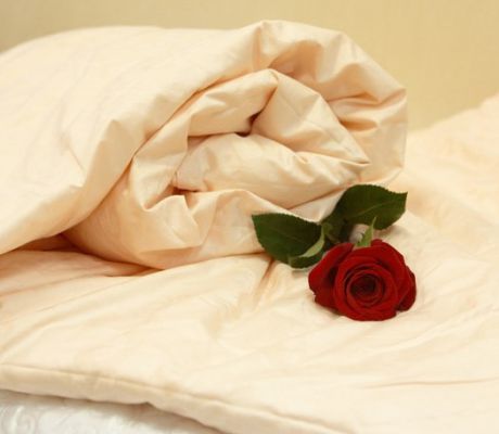 Одеяла | Шелковые одеяла KINGSILK Одеяло "Elisabette" Элит персиковый Кингсилк